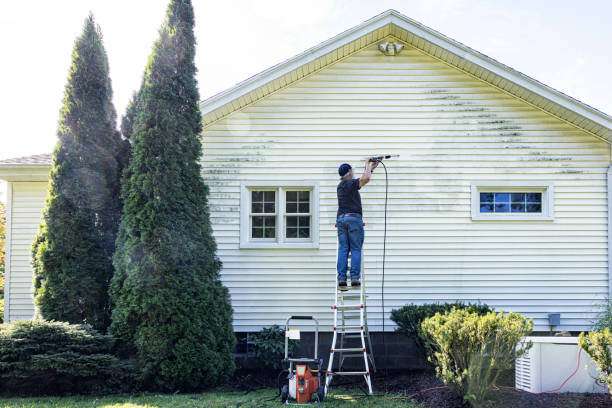 Best Driveway Pressure Washing  in North Pole, AK
